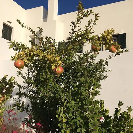 Panoramic View House Above Lefkes Village, Paros Holiday home