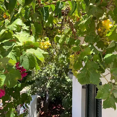 Panoramic View House Above Lefkes Village, Paros بيت للعطل